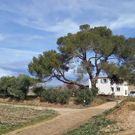 Domaine Saint Augustin Villa Rieux-Minervois Exterior foto