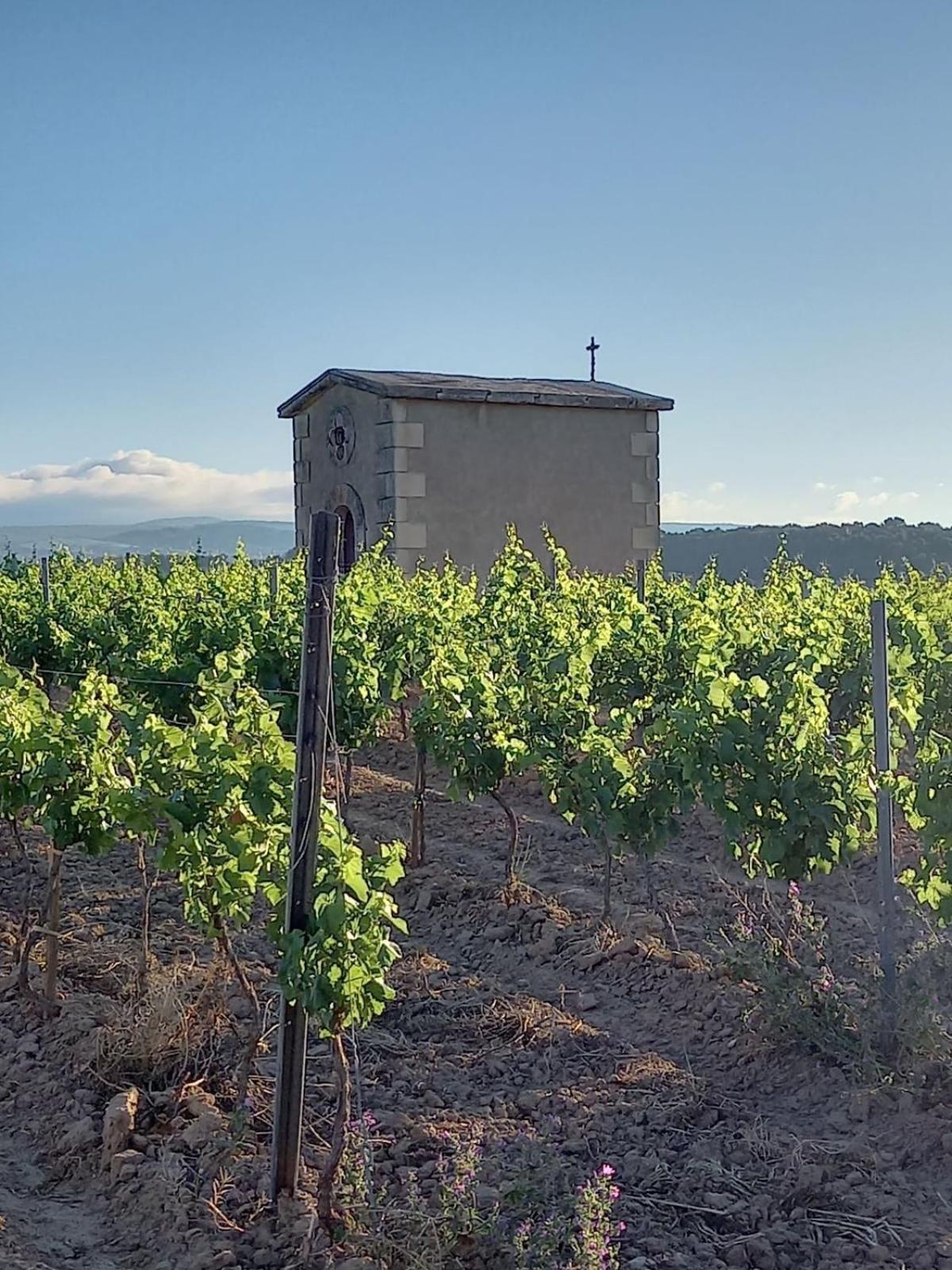 Domaine Saint Augustin Villa Rieux-Minervois Exterior foto