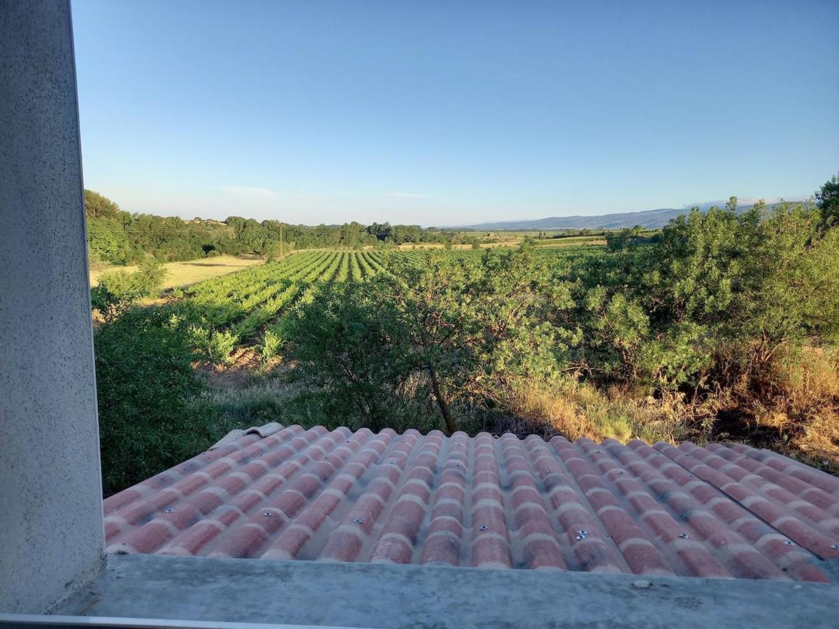 Domaine Saint Augustin Villa Rieux-Minervois Exterior foto
