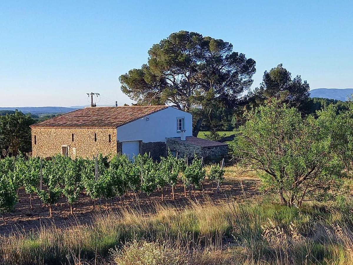 Domaine Saint Augustin Villa Rieux-Minervois Exterior foto
